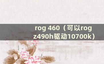 rog 460（可以rogz490h驱动10700k）